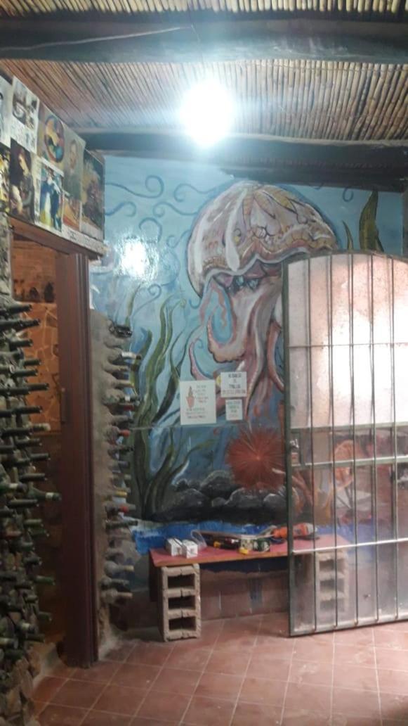 El Farolito Hostel 틸카라 외부 사진